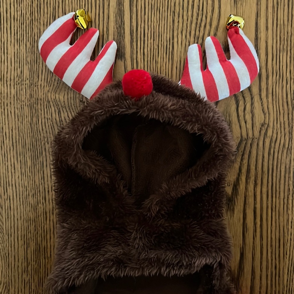XS rudolf dog coat